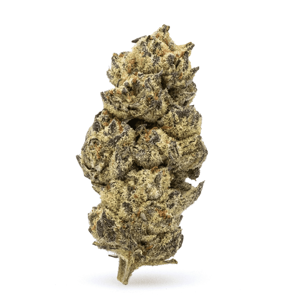 THCa Flower Black Cherry Soda / 1 g